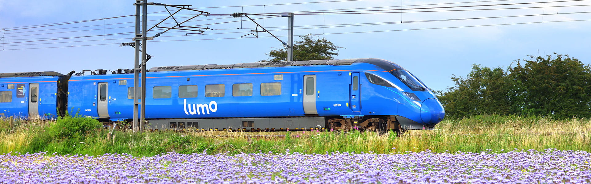 Lumo train next to a field of flowers