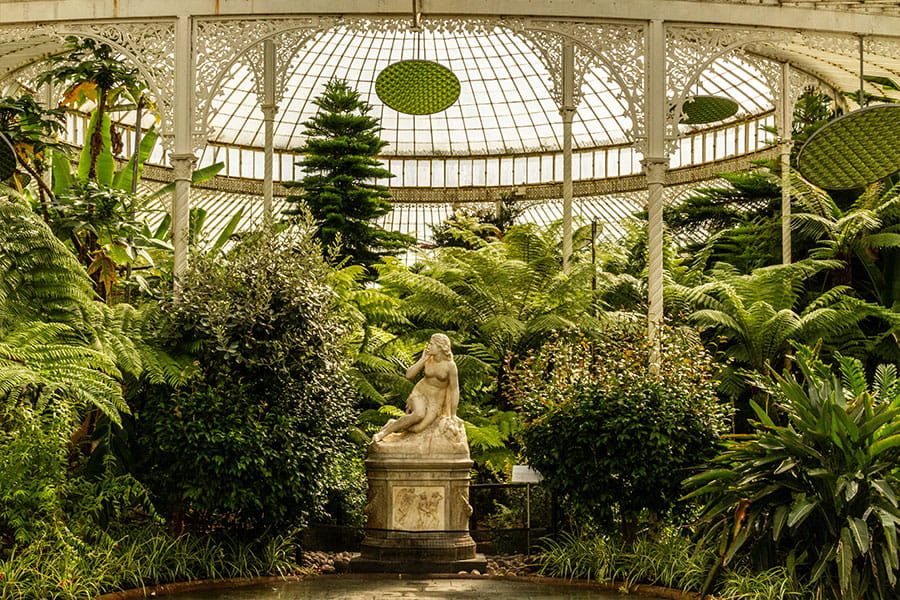 Glasgow Botanic Gardens