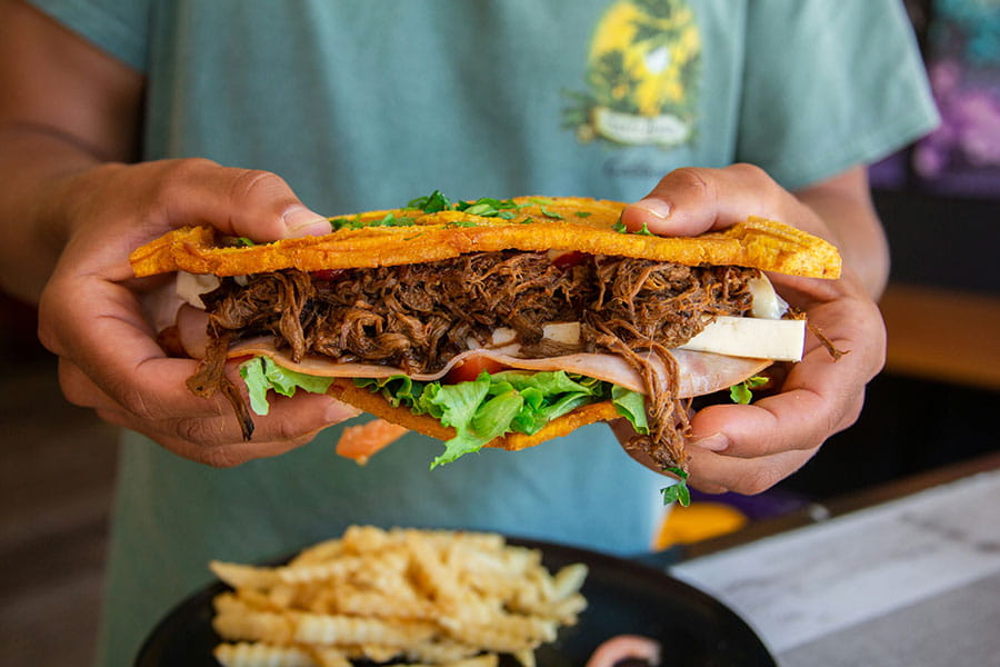 Person holding a sandwich