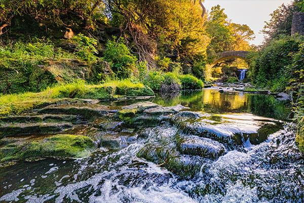 Jesmond Dene