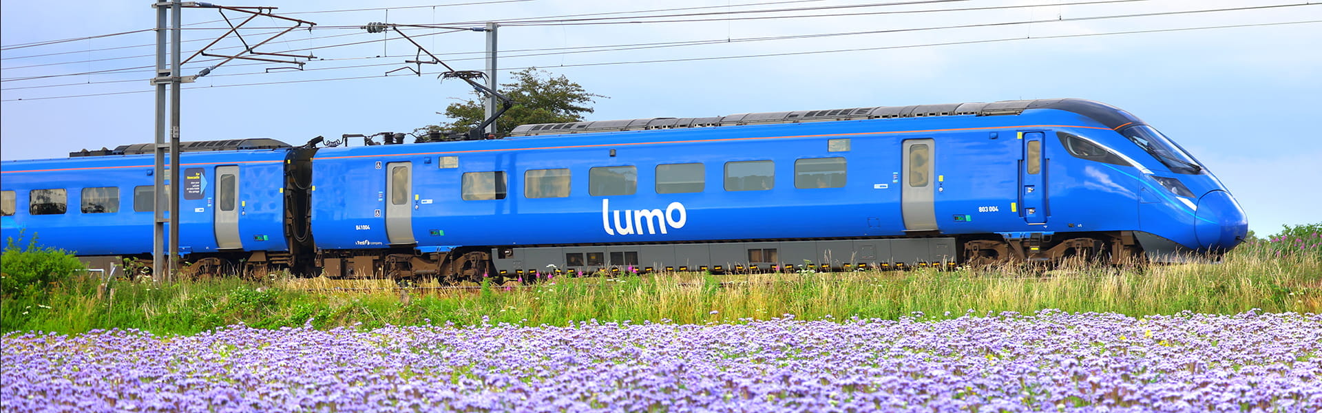 Lumo train 