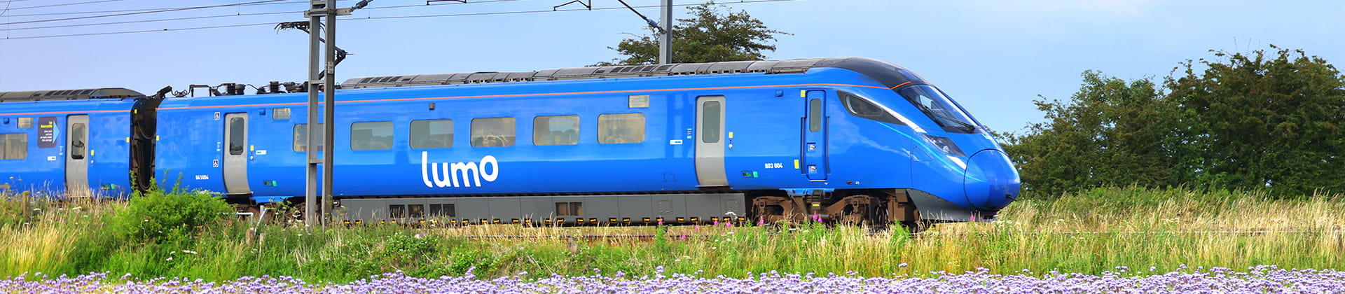 Lumo train passing through a field of flowers